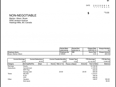 Sample Paystub w Outline